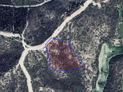 Large Tochni Field for Sale 12710m2 (Landlocked) - Main Photo