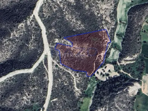 Large Tochni Field for Sale 22743 m2 (Landlocked) - Main Photo