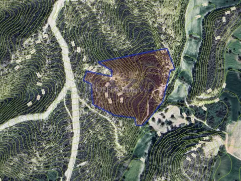 Large Tochni Field for Sale 22743 m2 (Landlocked) - 3