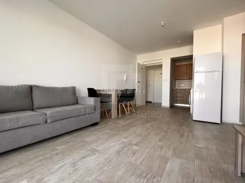 Modern two bedroom apartment for Rent in Aglantzia near University of Cyprus - 10
