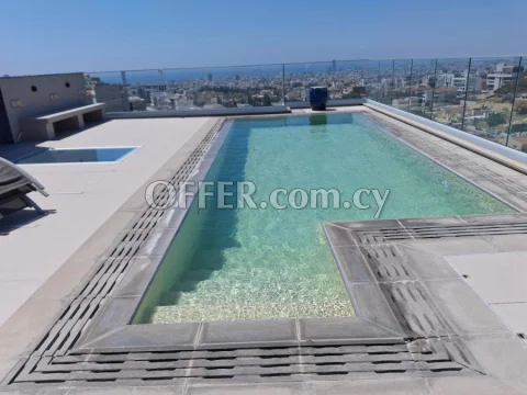 3 bedroom whole floor penthouse with private salt water pool on the roof top - Main Photo