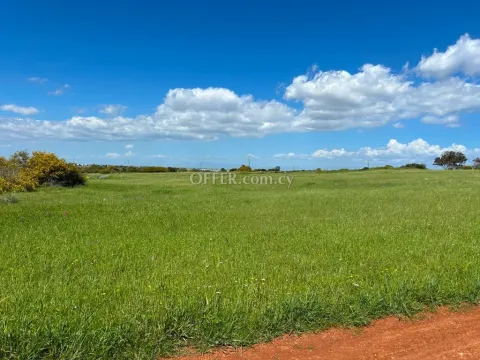 Land Parcel 6072 sm in Ayia Napa, Famagusta