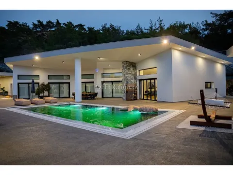 Luxury forest villa in Louvaras - Main Photo