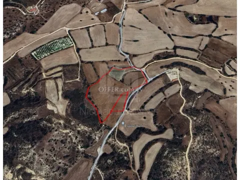 Industrial land for sale in Pissouri - Main Photo