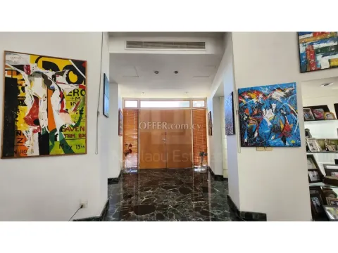 Four bedroom resale villa in Engomi area of Nicosia - 9