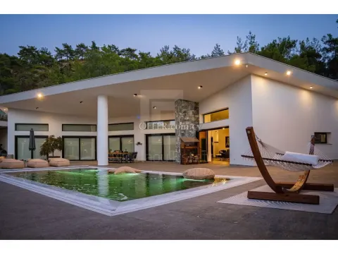 Luxury forest villa in Louvaras - 6