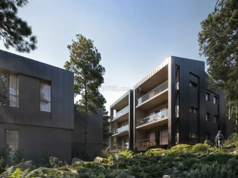 1 bed apartment in Prodromos Nicosia - Main Photo