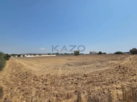 Large Maroni Field with Sea View For Sale - 2