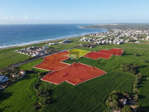 Four Touristic Fields in Agia Thekla - Main Photo