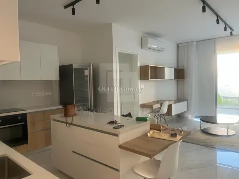 Super luxury two bedroom fully furnished apartment for rent in Makedonitissa - Main Photo
