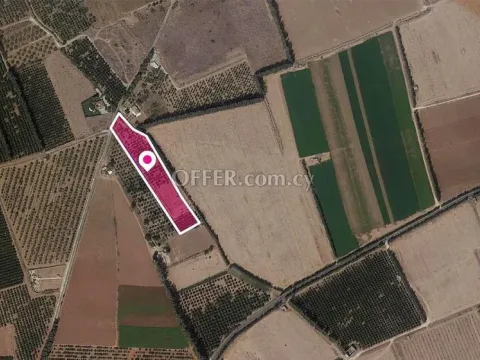 Share Field in Asomatos Limassol - Main Photo