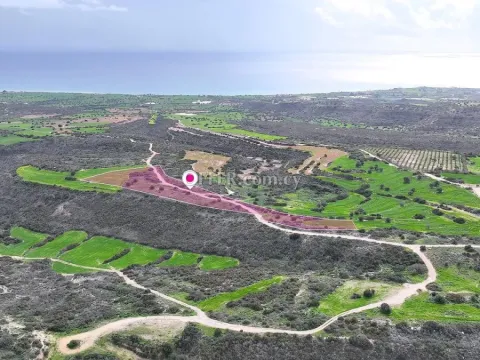 Agricultural field in Agios Theodoros Larnaca - Main Photo