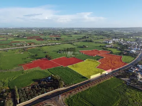 Four Touristic Fields in Agia Thekla - 9