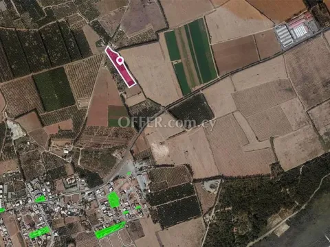 Share Field in Asomatos Limassol - 4