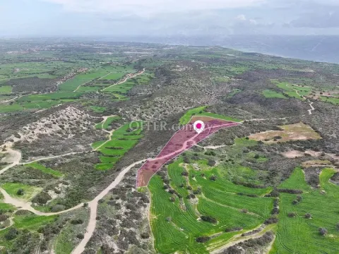 Agricultural field in Agios Theodoros Larnaca - 4