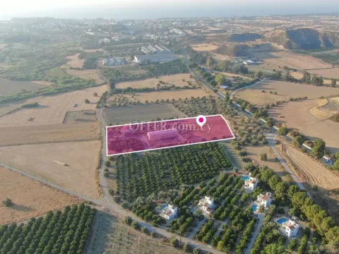 Prime Sports Hospitality Opportunity in Polis Chrysochous Paphos - 10