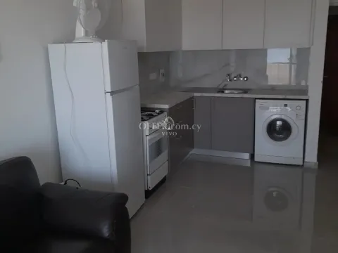 FULLY FURNISHED ONE BEDROOM APARTMENT IN NEAPOLIS WITH SEA VIEW - 10