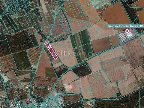 Share Field in Asomatos Limassol - 3