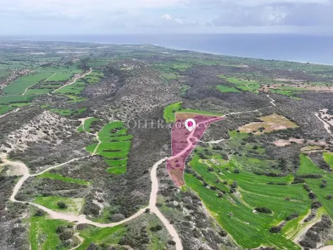 Agricultural field in Agios Theodoros Larnaca - 3