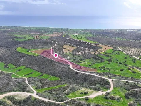 Agricultural field in Agios Theodoros Larnaca - 2