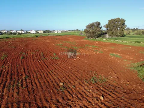 Four Touristic Fields in Agia Thekla - 5