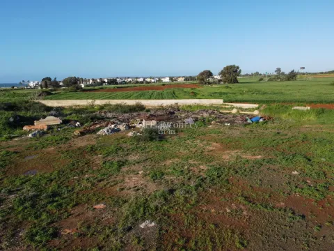 Four Touristic Fields in Agia Thekla - 4