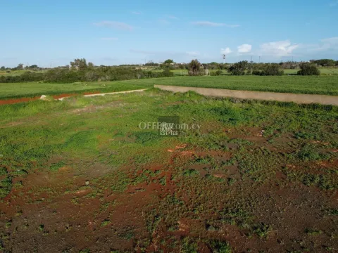 Four Touristic Fields in Agia Thekla - 3