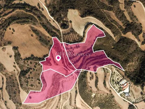 Agricultural Fields in Skoulli Paphos - Main Photo