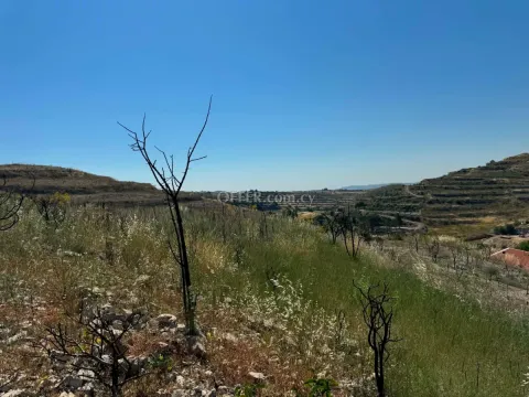 Land Parcel 1000 sm in Vouni, Limassol - Main Photo