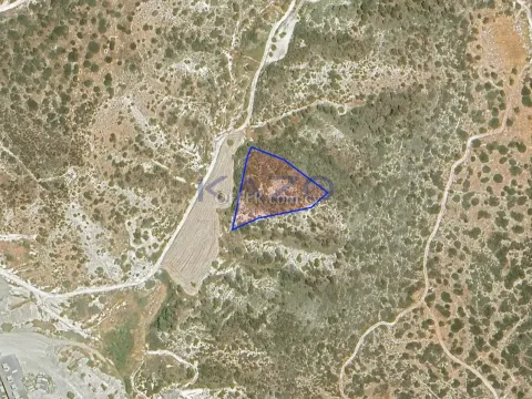 Large Field for Sale 4348m2 in Pentakomo (Landlocked) - Main Photo