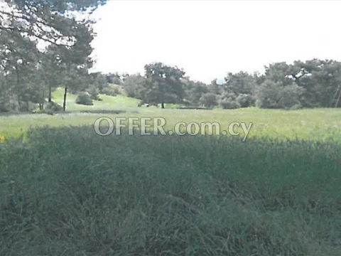 LARGE RESIDENTIAL LAND FOR SALE IN SIA VILLAGE NICOSIA - Main Photo