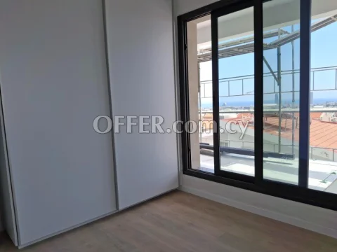 Stunning whole floor 3 bedroom penthouse - 4