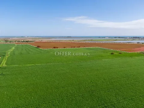 New For Sale €2,350,000 Land (Residential) Meneou Larnaca - Main Photo