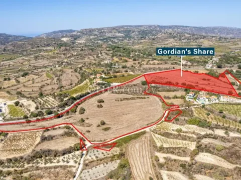 Four shared fields in Polemi Paphos - Main Photo