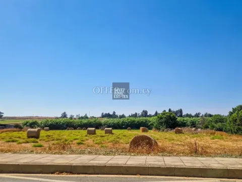 Shared field in Acheritou, Famagusta