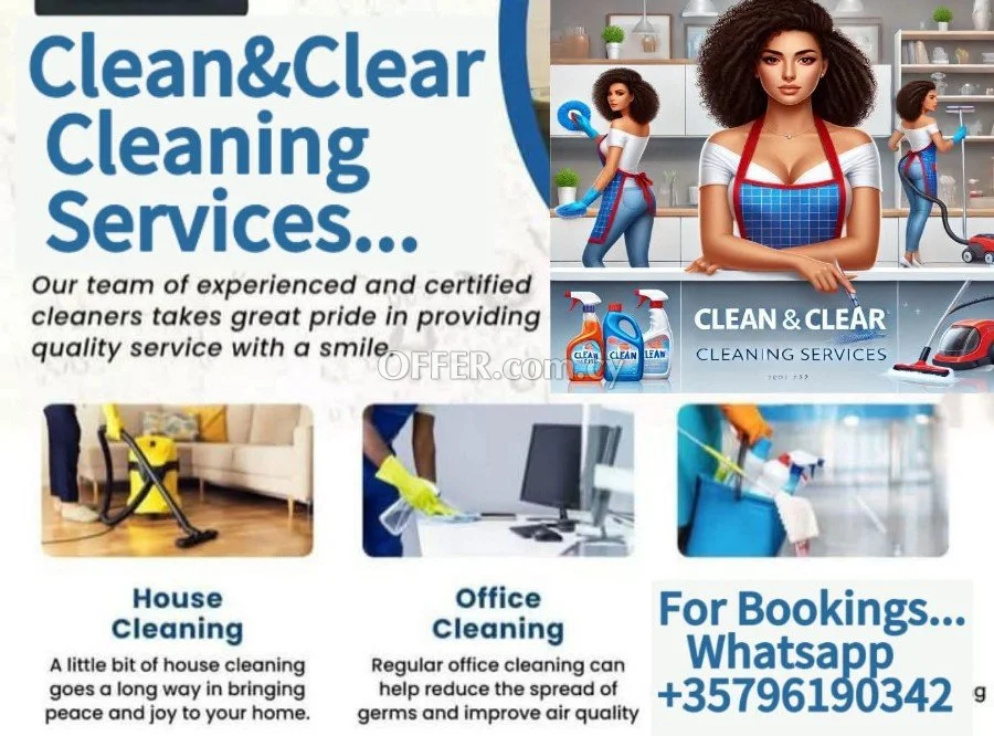 Home/apartment Cleaning services - 1