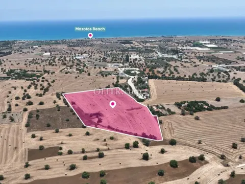 Agricultural field in Mazotos Larnaca
