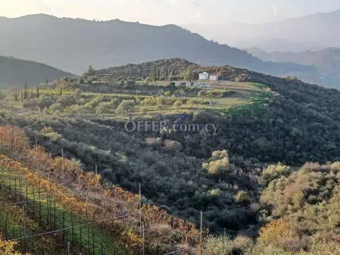 Large 8383m2 Field for Sale in Kellaki Village - Main Photo