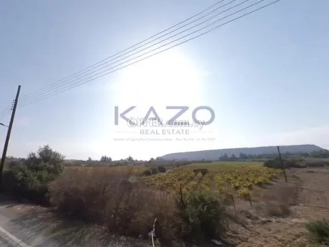 Large 7400 m2 Field for Sale in Paramali (Landlocked) - Main Photo