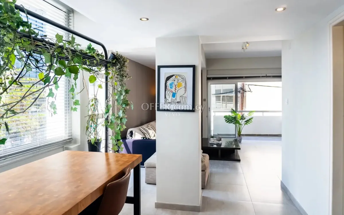 1 BEDROOM APARTMENT IN KATHOLIKI - 8