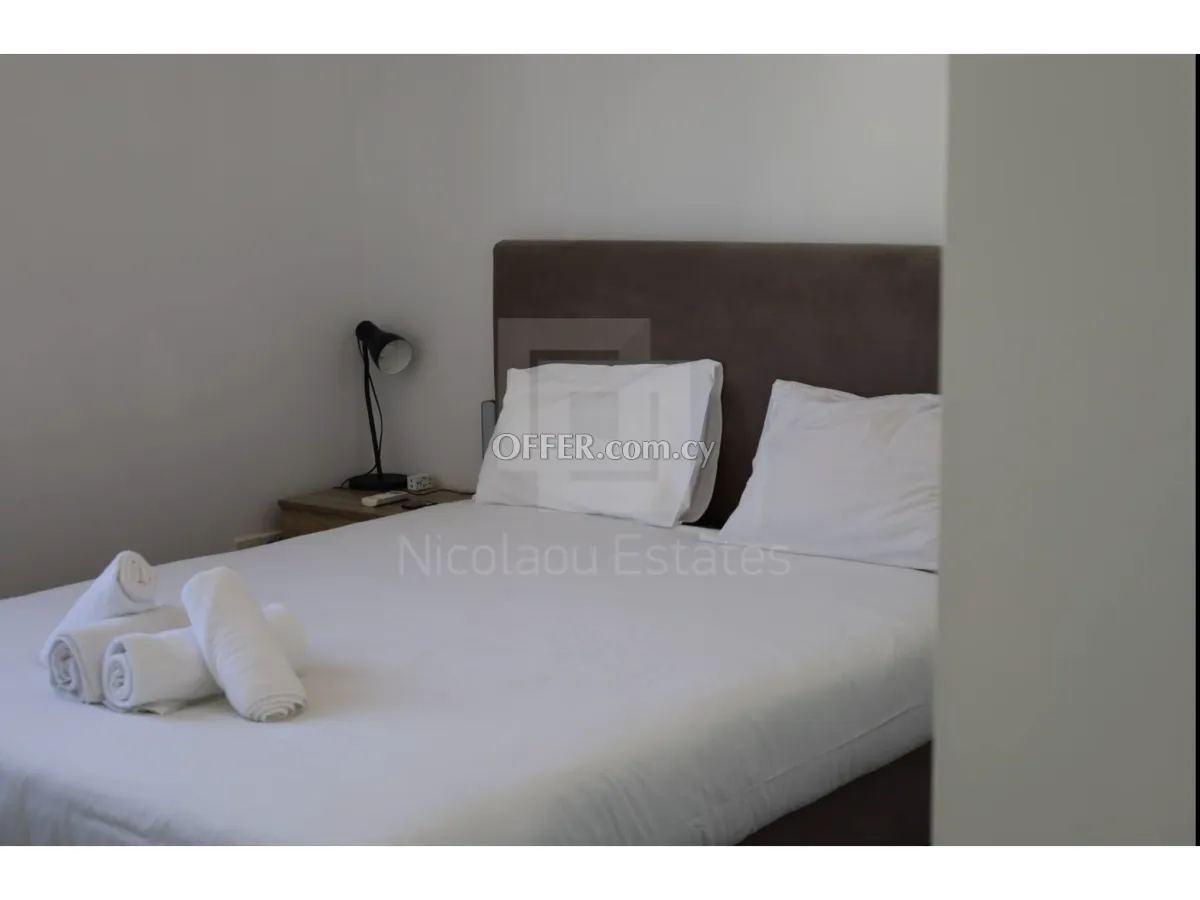 Two bedroom luxury fully furnished apartment in Engomi near Stephanis - 4