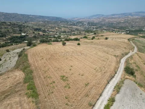 Field for sale in Stroumbi, Paphos