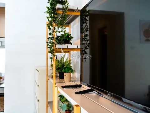 1 BEDROOM APARTMENT IN KATHOLIKI - 10