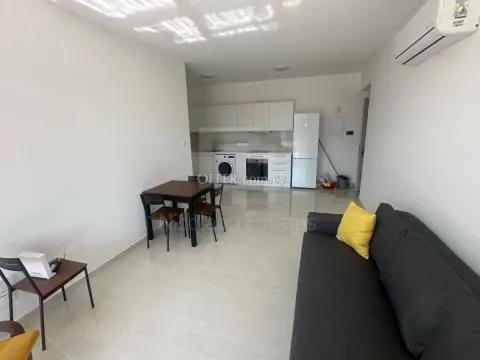 Brand New Fully Furnished One Bedroom Apartment in Aglantzia near of the University of Cyprus - 6
