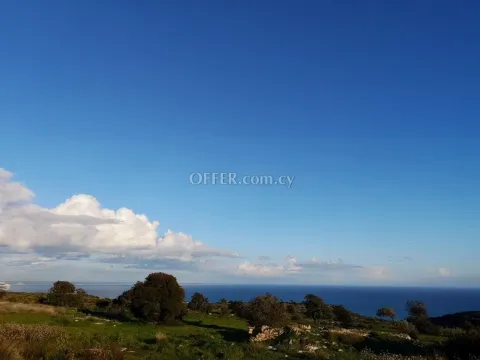 5-bedroom Detached Villa 700 sqm in Pissouri - 11
