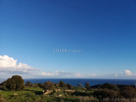 5-bedroom Detached Villa 700 sqm in Pissouri - 10