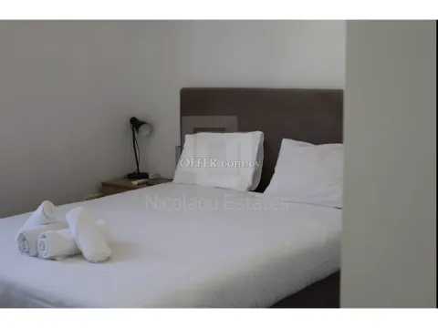 Two bedroom luxury fully furnished apartment in Engomi near Stephanis - 4