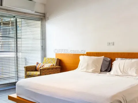 1 BEDROOM APARTMENT IN KATHOLIKI - 4
