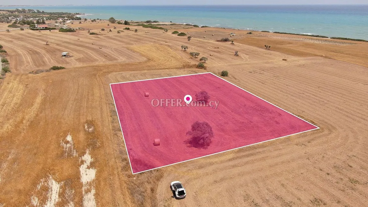 Touristic Field in Mazotos Larnaca - 4