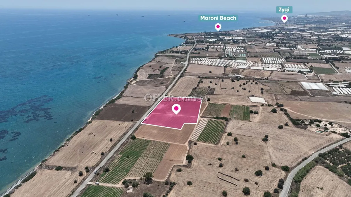 Field in Maroni Larnaca - 5